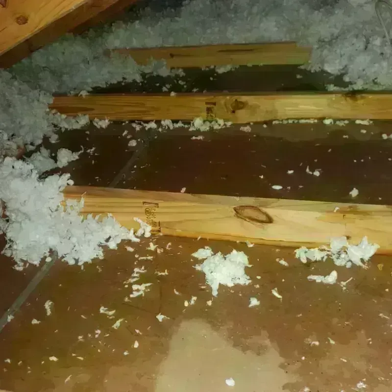 Attic Water Damage in Moapa Valley, NV